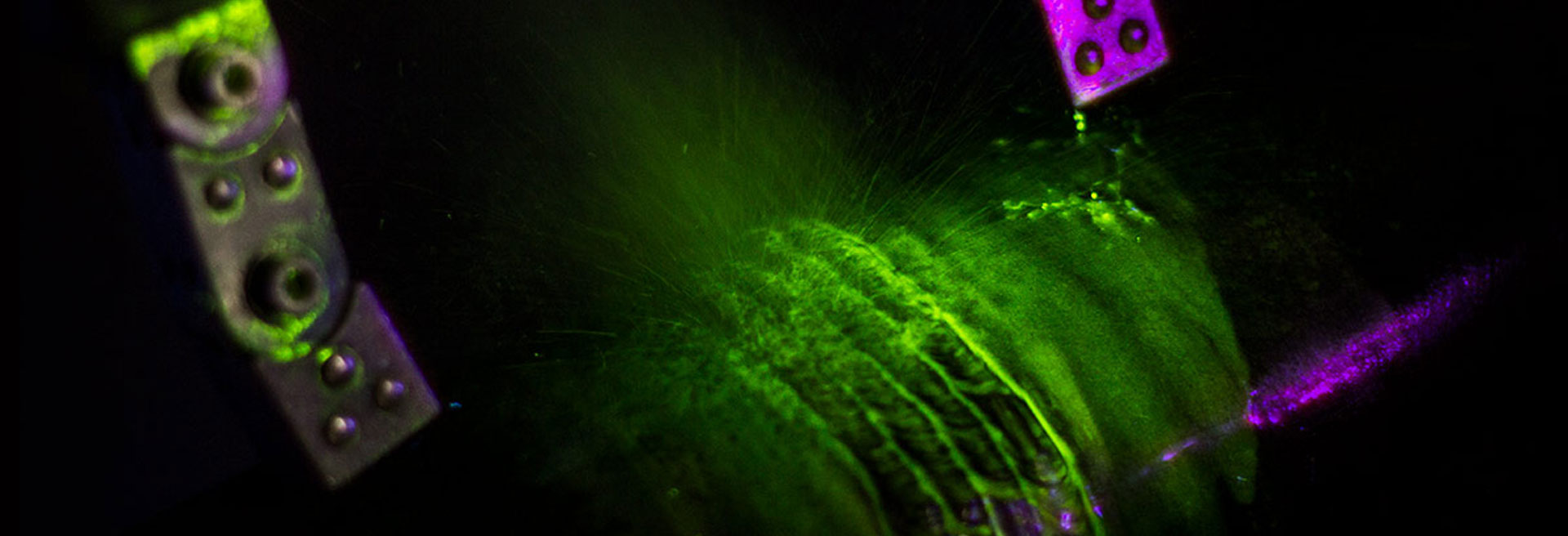 Qualität und Sicherheit